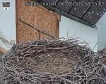 Capi_Dubne_20260806_085503.jpg