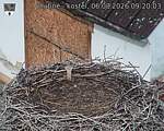 Capi_Dubne_20260806_092003.jpg