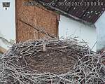 Capi_Dubne_20260806_100004.jpg