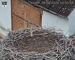 Capi_Dubne_20260806_100504.jpg