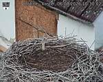 Capi_Dubne_20260806_103003.jpg