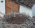 Capi_Dubne_20260806_103504.jpg