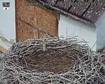 Capi_Dubne_20260806_110504.jpg