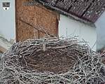 Capi_Dubne_20260806_111002.jpg