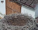 Capi_Dubne_20260806_111504.jpg
