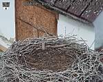 Capi_Dubne_20260806_113003.jpg