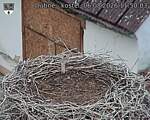 Capi_Dubne_20260806_115003.jpg