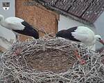 Capi_Dubne_20260806_121503.jpg