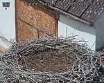 Capi_Dubne_20260806_125003.jpg