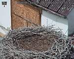 Capi_Dubne_20260806_125503.jpg