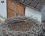 Capi_Dubne_20260806_130502.jpg