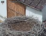 Capi_Dubne_20260806_131003.jpg