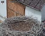 Capi_Dubne_20260806_131502.jpg