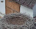Capi_Dubne_20260806_132004.jpg
