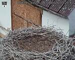 Capi_Dubne_20260806_132503.jpg