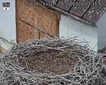 Capi_Dubne_20260806_133502.jpg