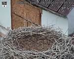 Capi_Dubne_20260806_140503.jpg