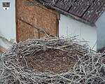 Capi_Dubne_20260806_141503.jpg