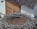 Capi_Dubne_20260806_142002.jpg