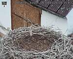 Capi_Dubne_20260806_143503.jpg