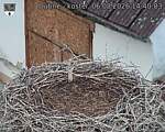 Capi_Dubne_20260806_144003.jpg