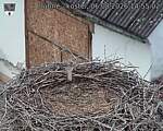 Capi_Dubne_20260806_145502.jpg