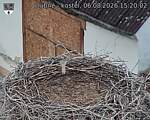 Capi_Dubne_20260806_152002.jpg