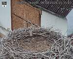 Capi_Dubne_20260806_153503.jpg