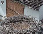 Capi_Dubne_20260806_154502.jpg