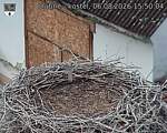 Capi_Dubne_20260806_155004.jpg
