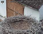 Capi_Dubne_20260806_155503.jpg
