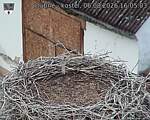 Capi_Dubne_20260806_160503.jpg