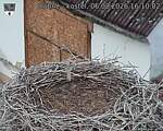 Capi_Dubne_20260806_161003.jpg