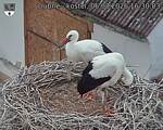 Capi_Dubne_20260806_163003.jpg