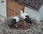 Capi_Dubne_20260806_165503.jpg