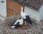 Capi_Dubne_20260806_170503.jpg