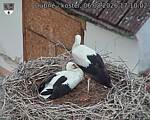 Capi_Dubne_20260806_171002.jpg