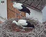 Capi_Dubne_20260806_175503.jpg