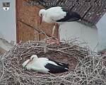 Capi_Dubne_20260806_180502.jpg