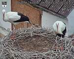 Capi_Dubne_20260806_182003.jpg