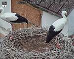 Capi_Dubne_20260806_184004.jpg