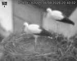 Capi_Dubne_20260806_204002.jpg