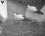 Capi_Dubne_20260806_205002.jpg