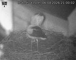 Capi_Dubne_20260806_210002.jpg