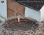 Capi_Dubne_20260807_060502.jpg