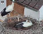 Capi_Dubne_20260807_082502.jpg