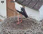 Capi_Dubne_20260807_140503.jpg
