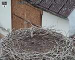 Capi_Dubne_20260807_141004.jpg