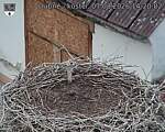 Capi_Dubne_20260807_142002.jpg