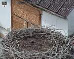 Capi_Dubne_20260807_143003.jpg